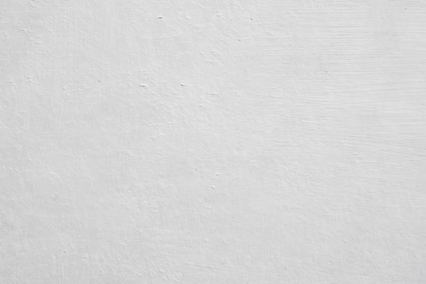 Trusted Sterlington, LA Mold Removal Experts